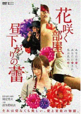 山影回声电影封面